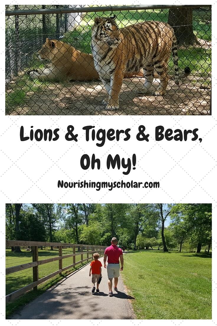 Lions & Tigers & Bears, Oh My!