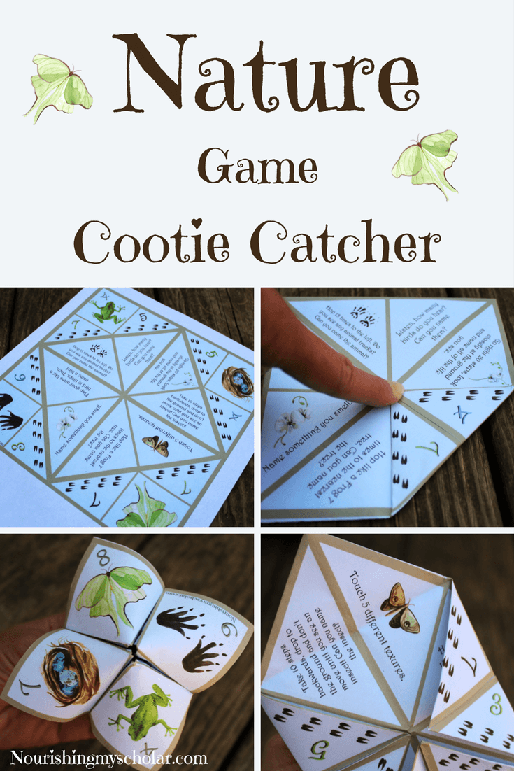 Nature Game Cootie Catcher: This cootie catcher is meant to help children use their senses (sight, smell, hearing, and touch) as they test their knowledge and explore the natural world around them. #homeschooling #naturestudy #cootiecatcher #nature #science #printable #homeschool