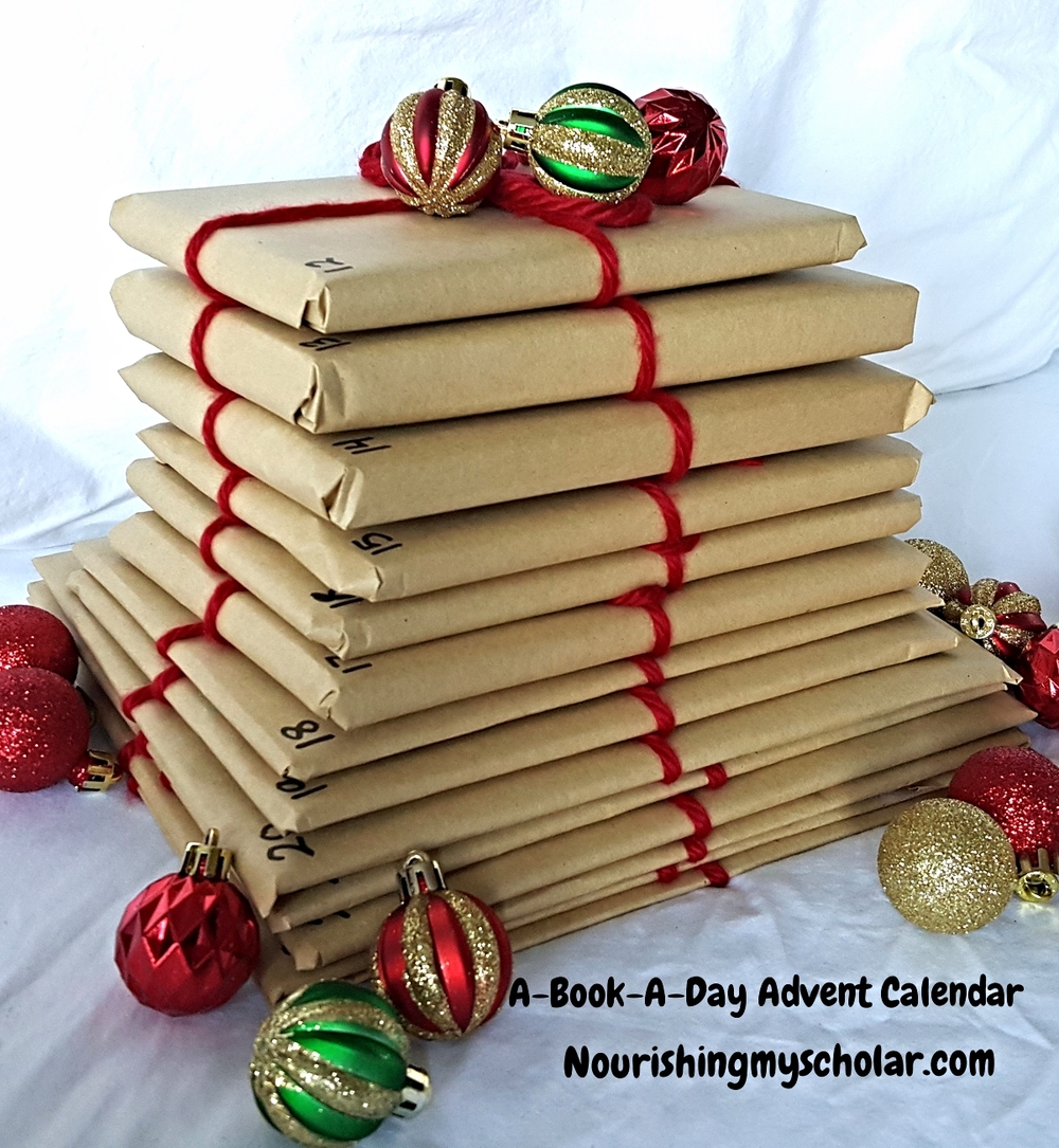 Our A-Book-A-Day Advent Calendar