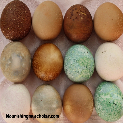 Easter Egg Dyes with All Natural Ingredients and Flower Stencils