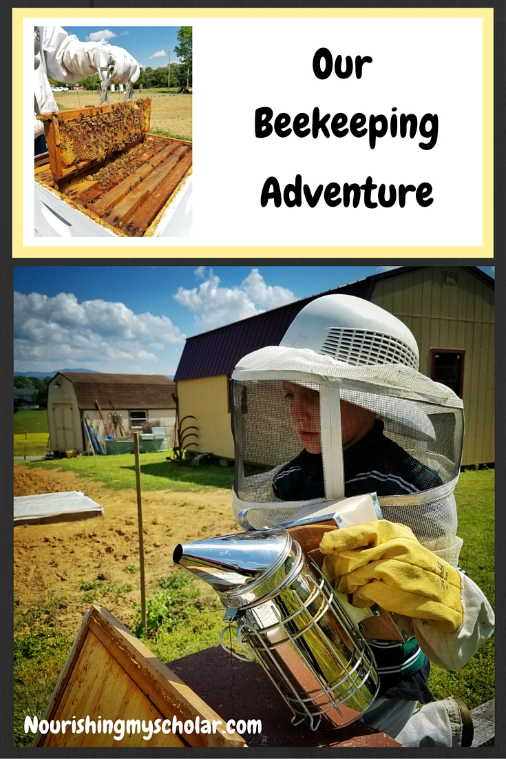 Our Beekeeping Adventure Plus Our Favorite Bee Books