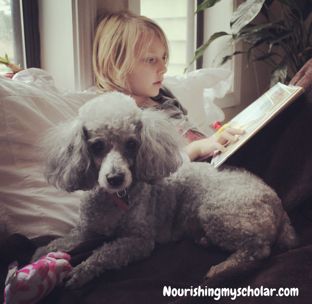 Inspiring a Love of Reading with the Love of Animals