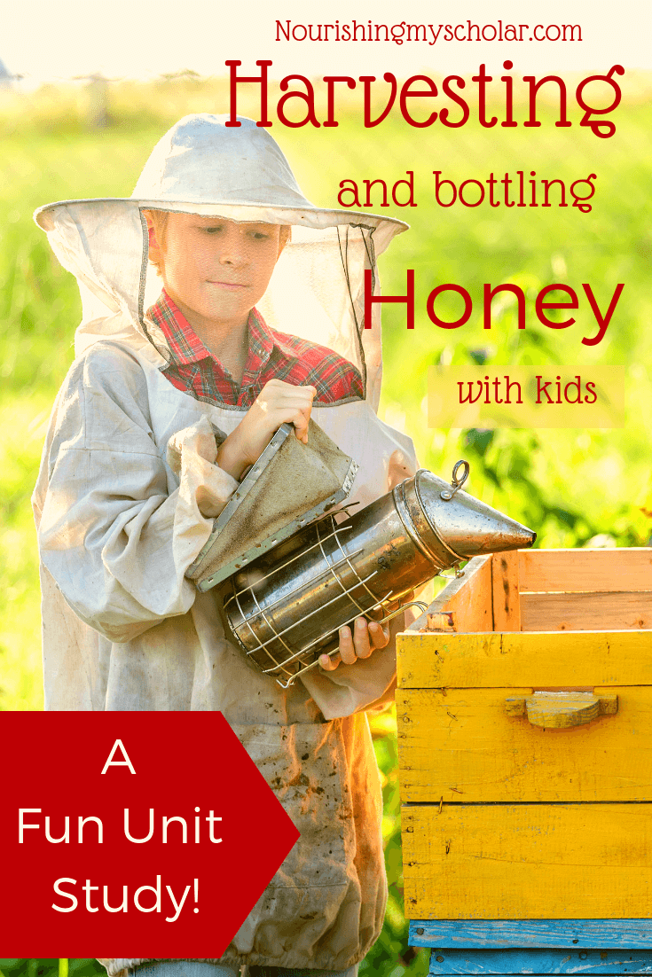 Harvesting Honey with Kids
