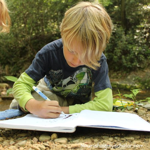 8 Tips for Nature Study