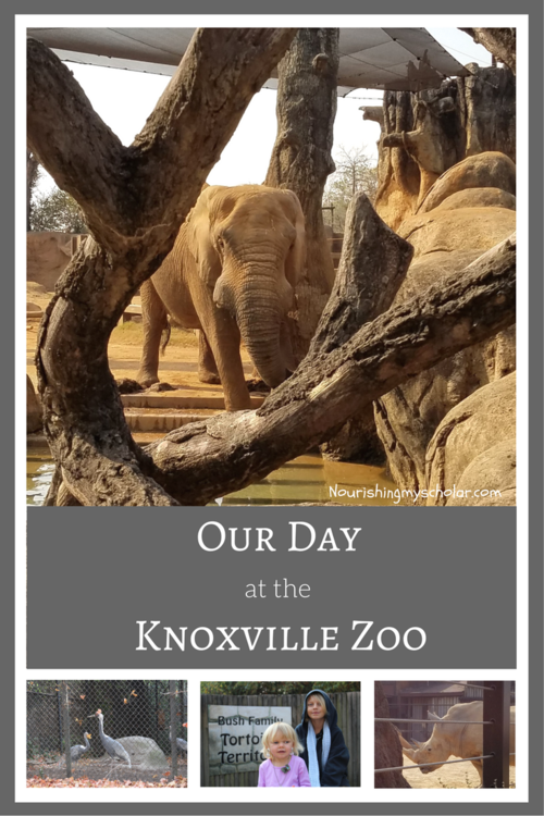 Our Day at the Knoxville Zoo