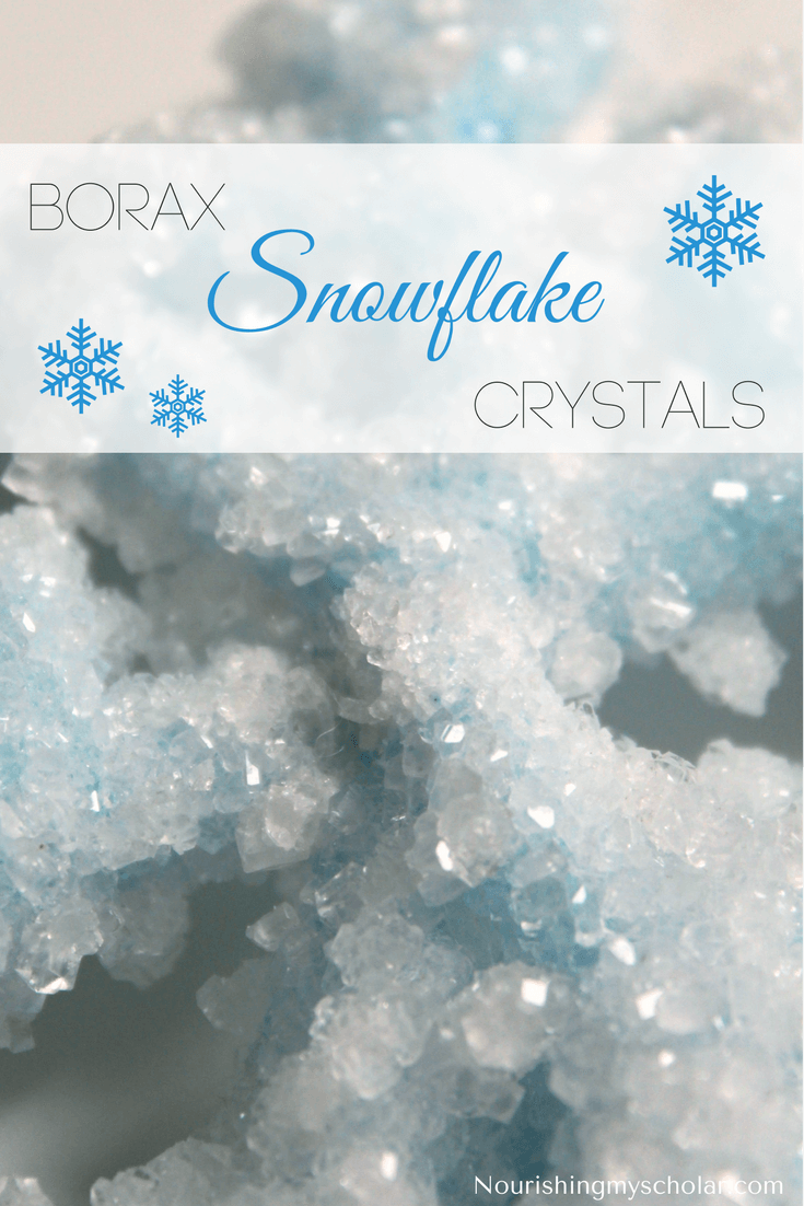 Borax Crystal Snowflakes: Borax crystal snowflakes are a fun STEAM activity for children of all ages. #homeschooling #science #winter #winterscience #winteractivity