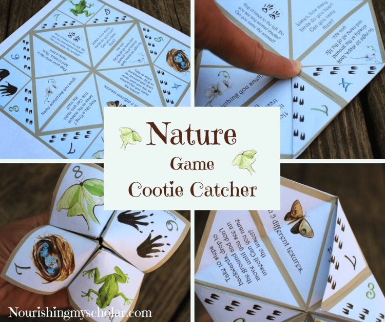 Nature Game Cootie Catcher