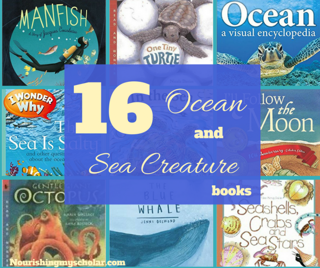 Ocean and Sea Creature Books