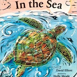 Ocean and Sea Creature Books