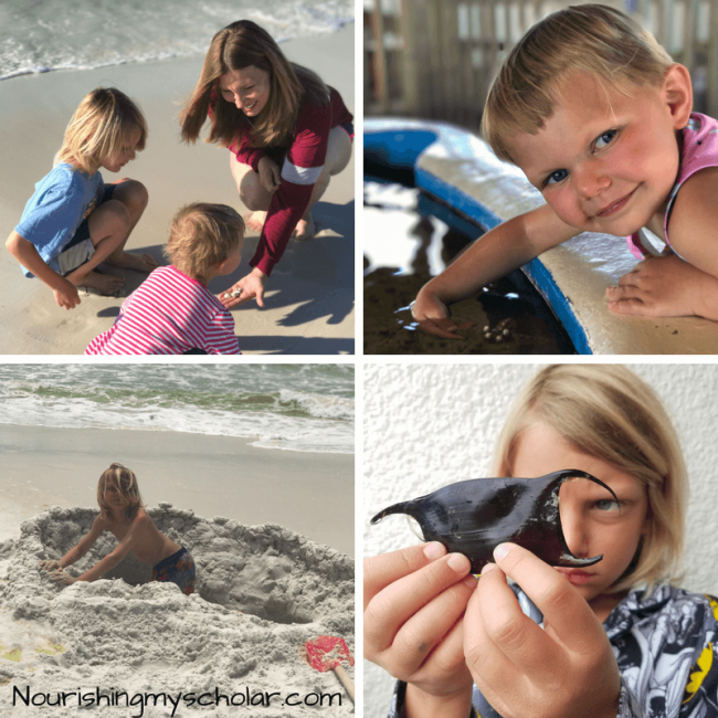 Natural Learning Opportunities on a Beach Vacation