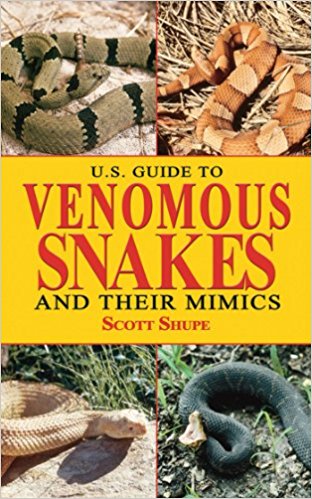 20 Creepy Crawly Snake Books
