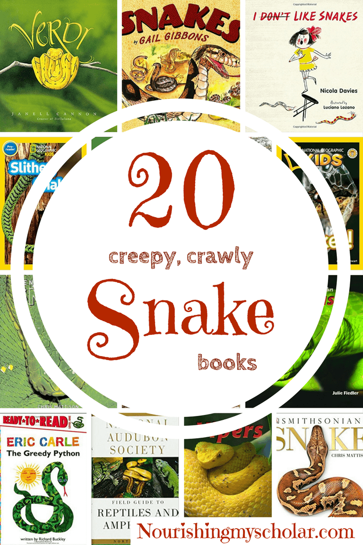 20 Creepy Crawly Snake Books