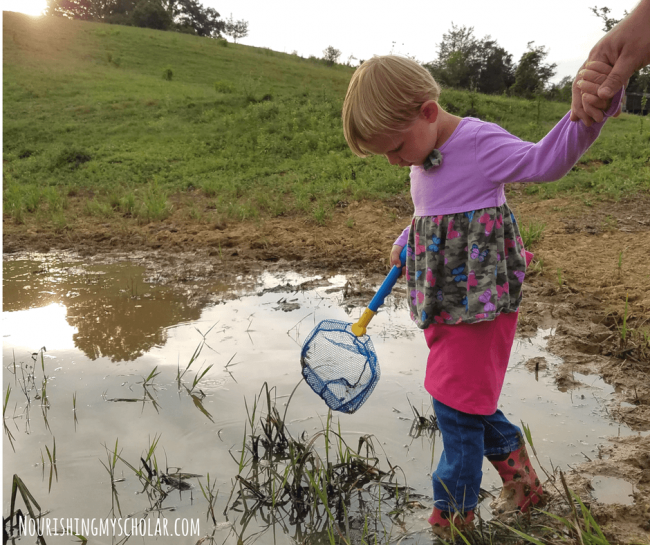 Hands On Pond Science With An At Home Water Testing Kit