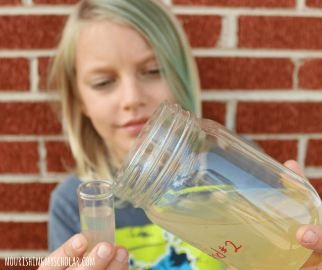 Hands On Pond Science With An At Home Water Testing Kit