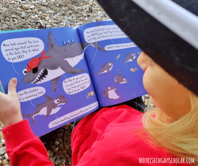 A Picture Book About Shark Science