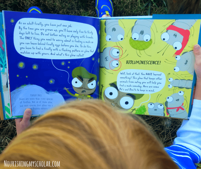 A Picture Book About The Science of Fireflies