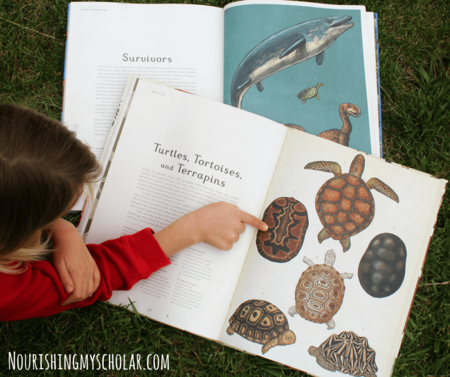 Exploring Nature with Illustrated Children's Books