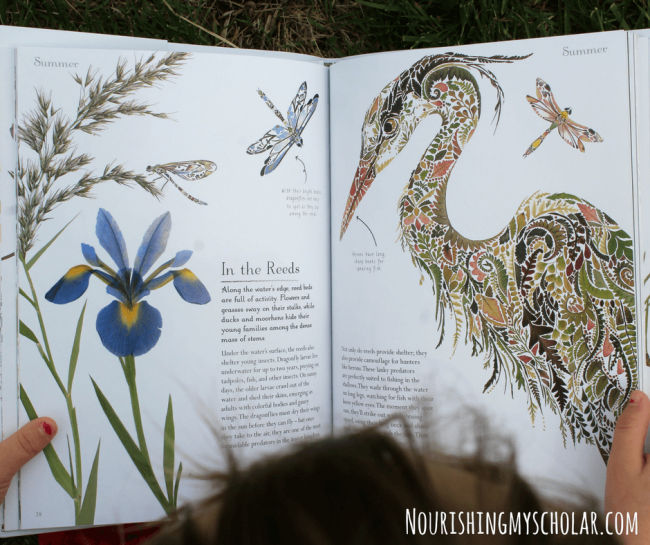 Exploring Nature with Illustrated Children's Books