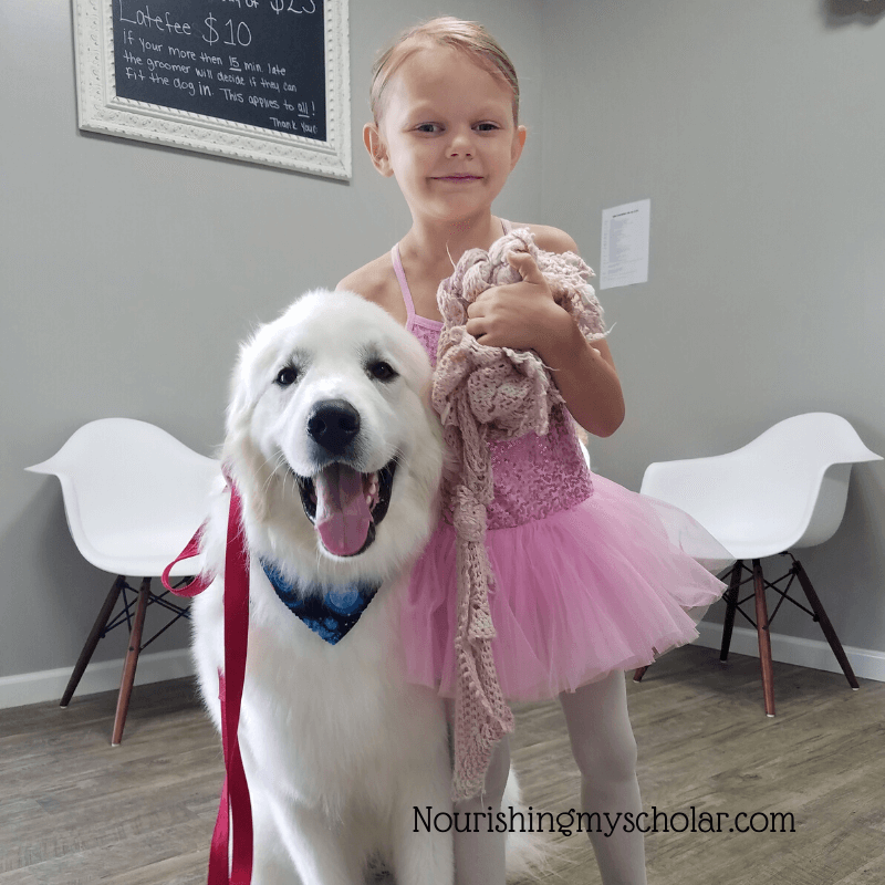 Homeschooling Kids and a Dog: Bringing Home a Great Pyrenees