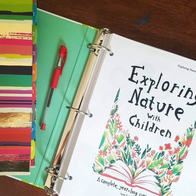 Our Eclectic Homeschool Curriculum Choices 2018-2019