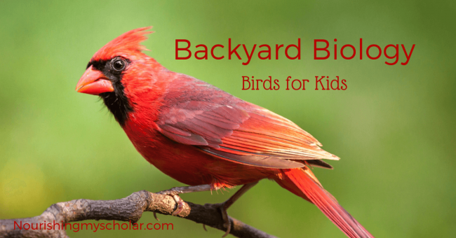 Backyard Biology: Birds for Kids