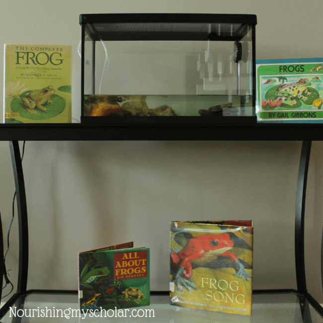 10 of the Best Frog Life Cycle Books for Kids