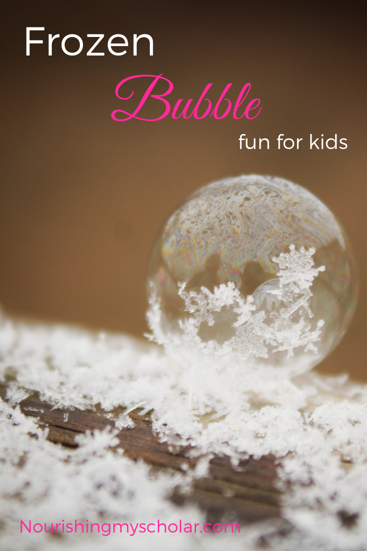 Frozen Bubble Fun for Kids and the Best Picture Books About Snow: Did you know that you could freeze bubbles? We discovered the joy of frozen bubbles during our last snow! As long as your temperatures are below 32 degrees Fahrenheit, then you too can enjoy some frozen bubble fun with the kids! Plus, I've got a great list of snow and ice books for you! #winter #homeschooling #ihsnet #kidlit #books #snow #snowbooks #picturebooks #winterscience