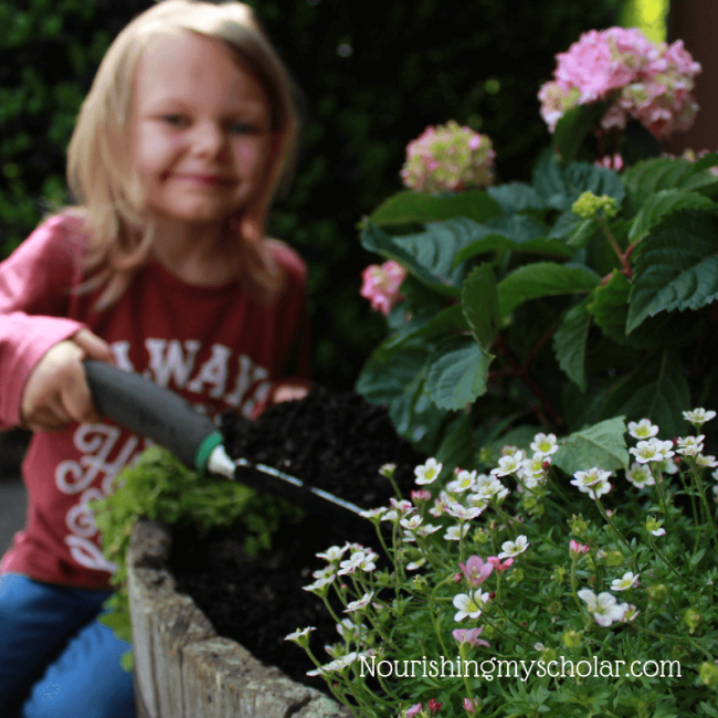 Exploring Fairies and Fairy Gardens with Kids