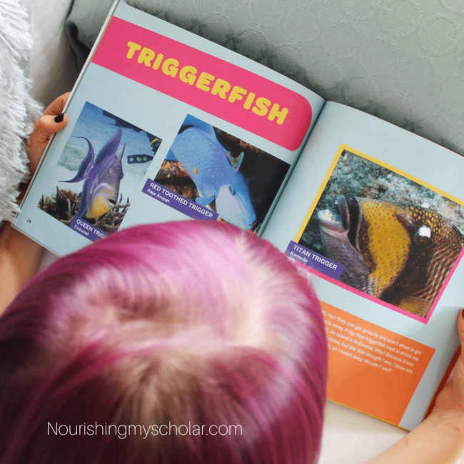 Tropical Fish Picture Book