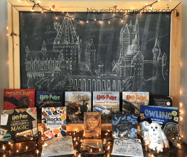 Harry Potter Homeschool Perfect for Young Wizards