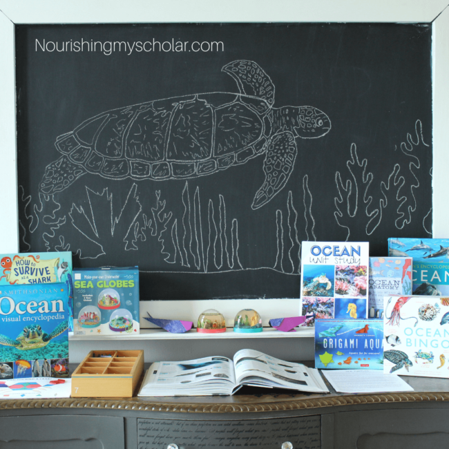 Hands-On Ocean Study for Kids